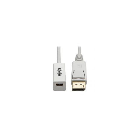 Adaptador De Cable Displayport Mini Dsplyprt 3840X2160 4Kx2K