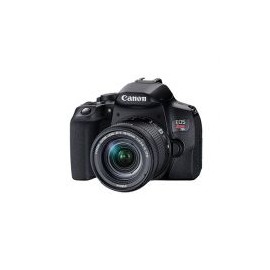 Camara Digital Canon Eos Rebel T8I Ef-S 24.1Mp 6000 X 4000P 4K Sd Mmc Negro 3924C002